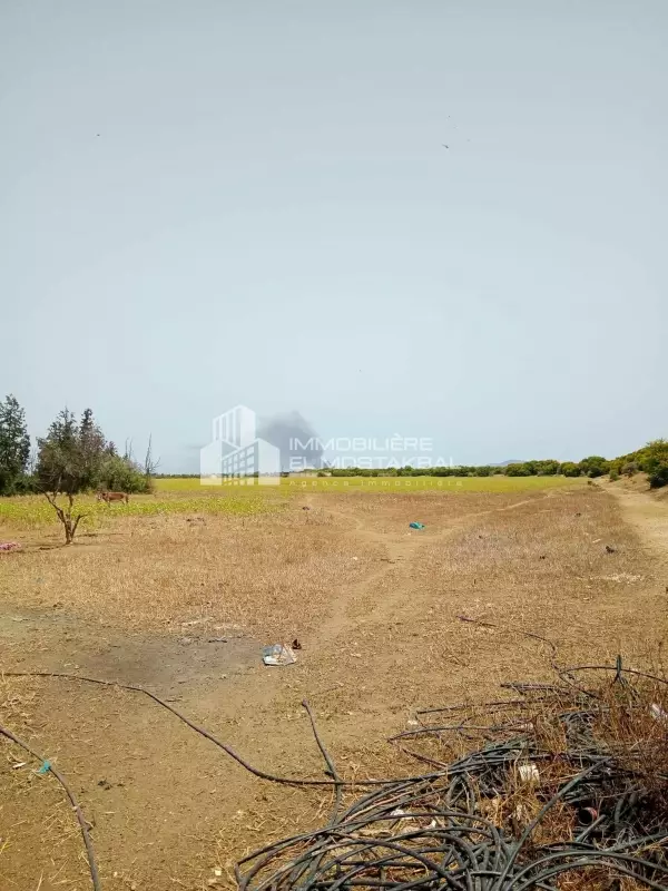 A vendre 24 hectares nu a Grombalia