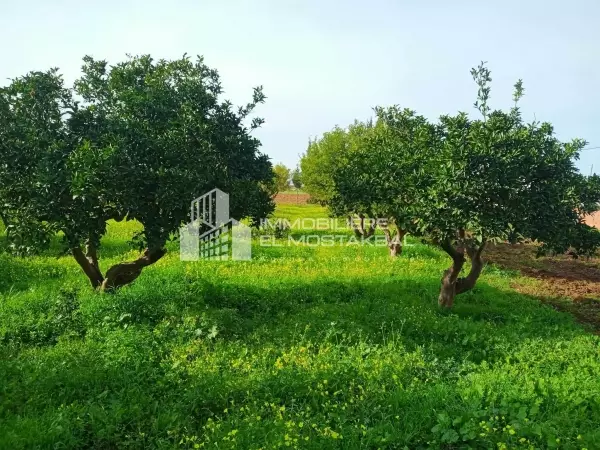 A Vendre Terrain agricole 3,6h a Grombalia
