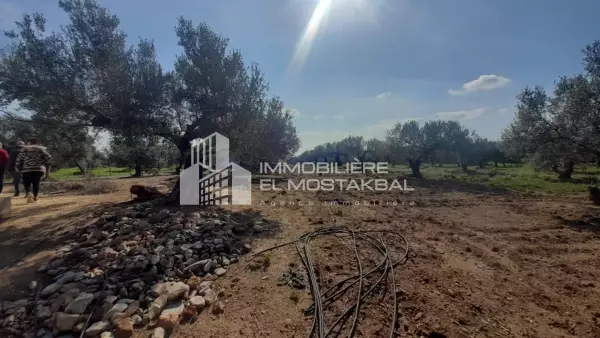 A vendre un terrain agricole 1 h.2164m² avec villa haut standing