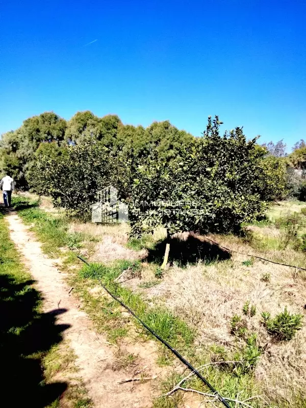 a vendre 6 hectare avec villa s2