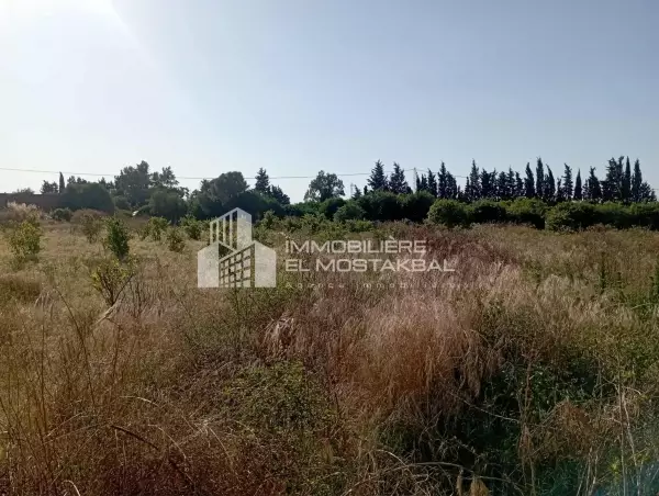 terrain agricole