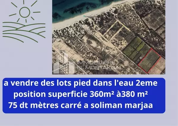 a vendre les lot agricole pied dans l'eau
