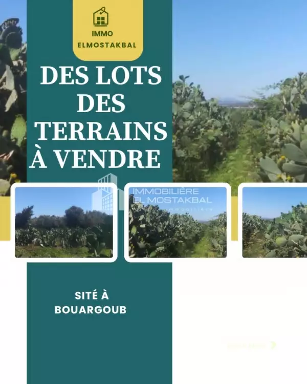 a vendre 2 terrains agricoles a bou argoub