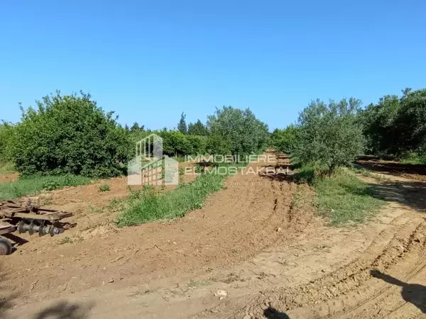 A vender 8H terrain agricole a boujrida