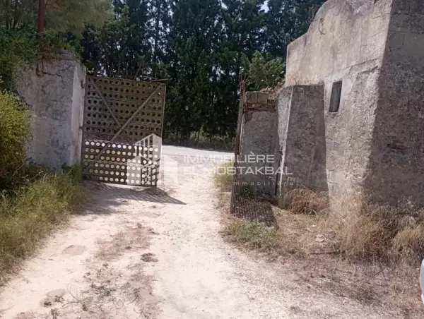 A vendre 2.7h a zaouit ejdidi