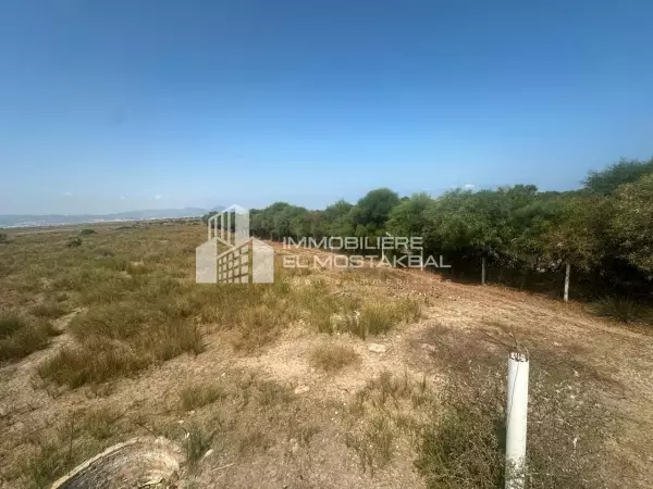 A vendre 6 lots de terrain 2eme position de la plage