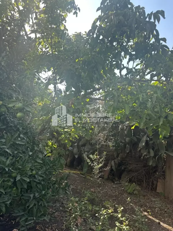 A vendre 4129m² avec villa a manzel bouzalfa