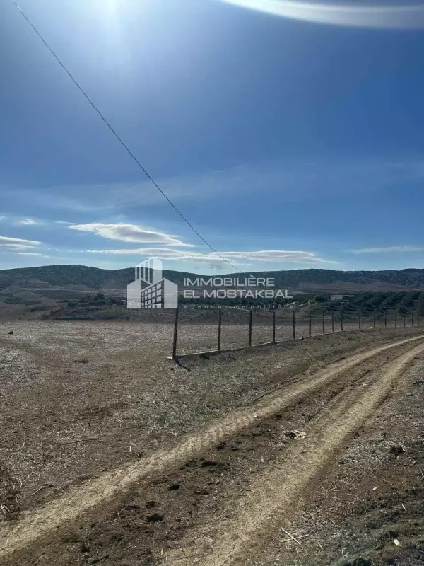 18 hectares a vendre a Grombalia (ain tebournok)