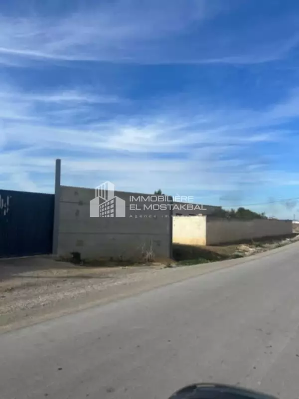 3.8 hectares clôturé a Soliman