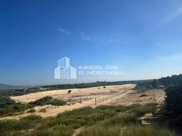 4 hectares a vendre Soliman