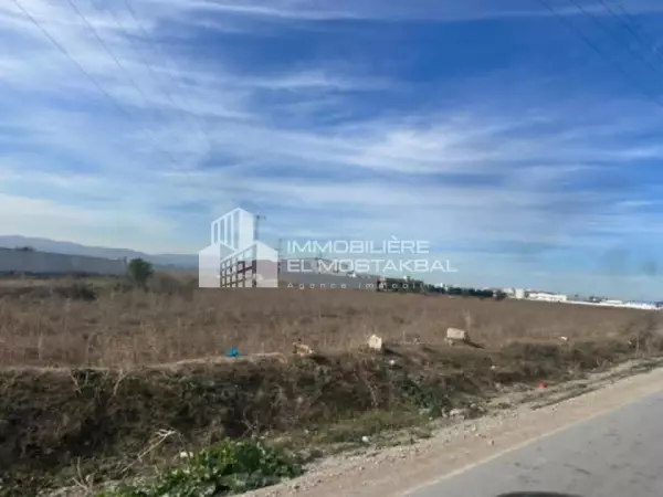 3.8 hectare terrain agricole