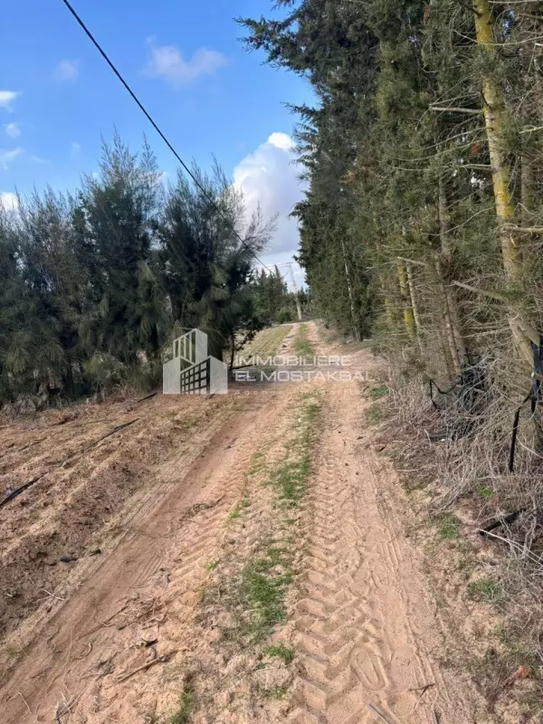 A vendre terrain nu 1.8 hectare situé Halfa bni khiar