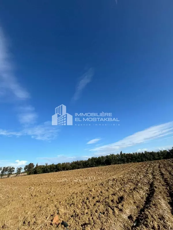 5 hectares nu a grombalia