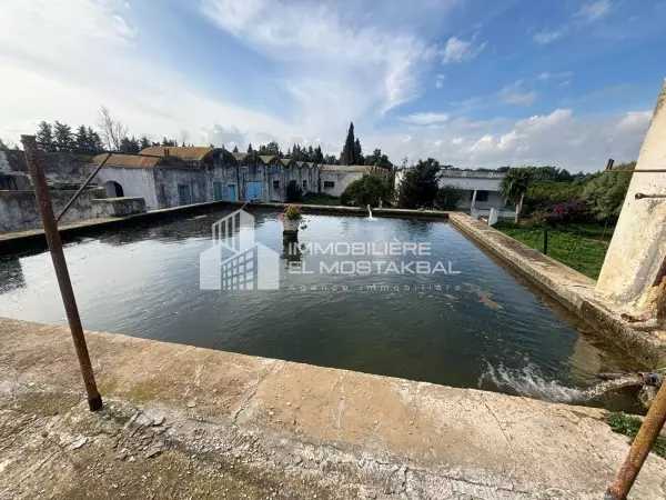 A vendre 4 hectare planté orange avec maison.