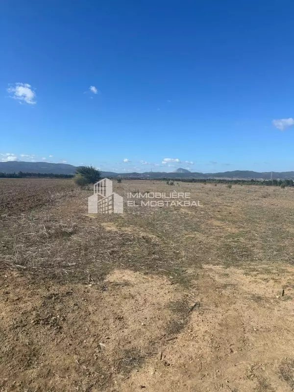 a vendre terrain agricole 14 hk Grombalia Nabeul