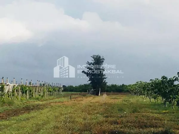 a vendre terrain agricole 9 hk Grombalia Nabeul