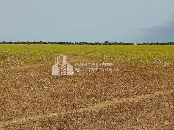 a vendre terrain agricole 24 hk Grombalia Nabeul