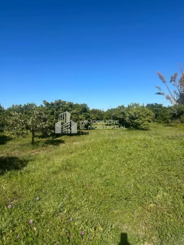 a vendre terrain agricole 10 hectare Grombalia Nabeul