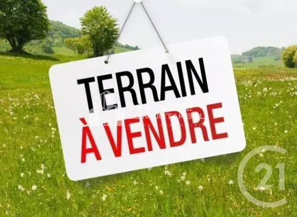a vendre terrain agricole 1 hectare Grombalia Nabeul