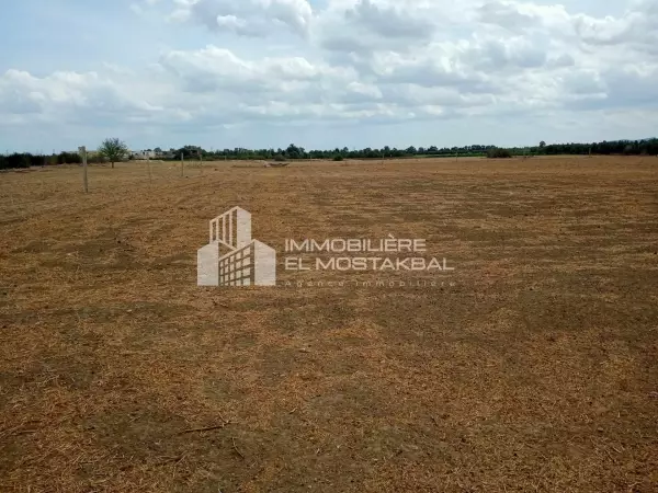 Terrain Agricole à Vendre 1 Hectare Nu avec Vanne