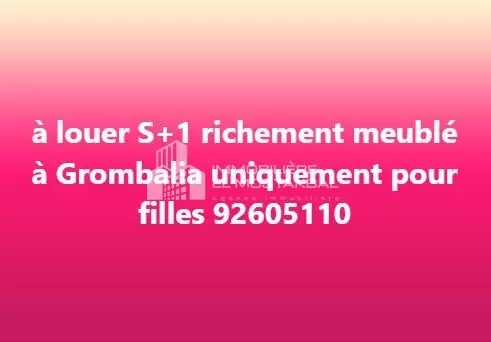 S+1 richement meublé
